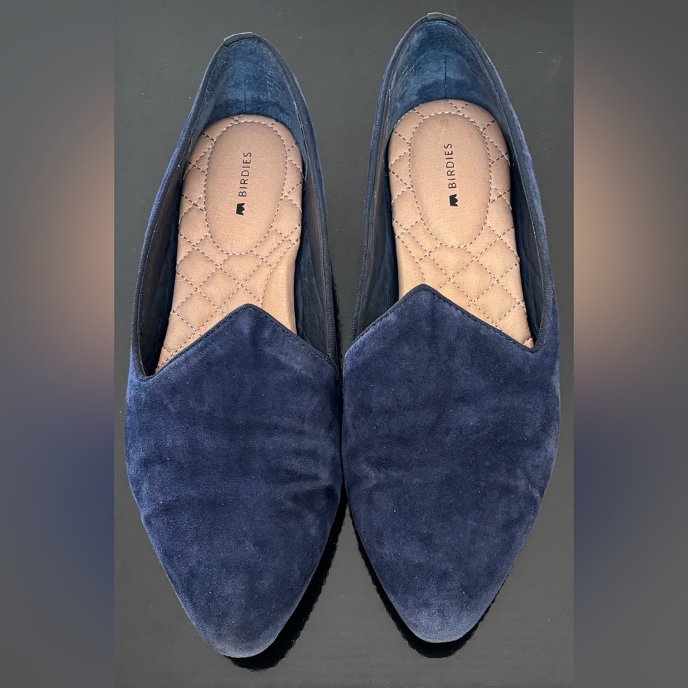 Birdies Women's Navy Velvet Pointed Loafers